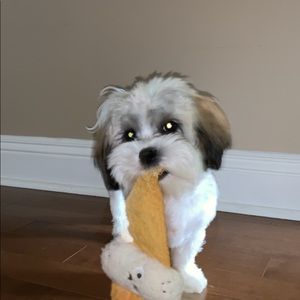 Meet your Posher, Kaylee